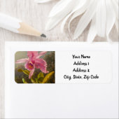 二羽のハミングバードのヒードを持つラン ラベル (インサイチュ)