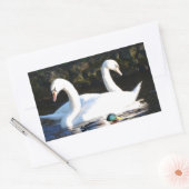二羽の白鳥とアヒル 長方形シール (封筒)