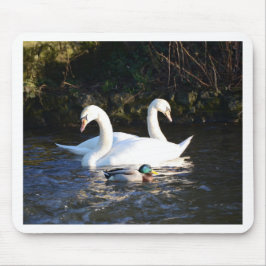 二羽の白鳥と一羽のアヒル マウスパッド