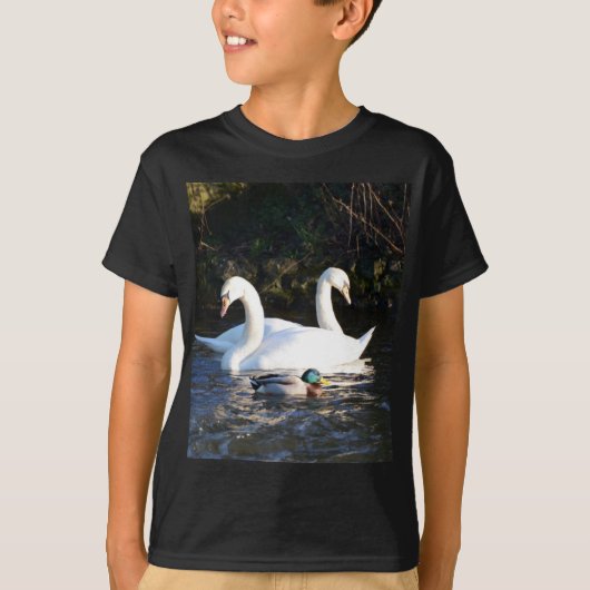 二羽の白鳥と一羽のアヒル Tシャツ (正面)
