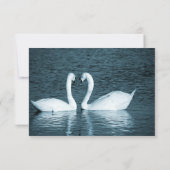 二羽の白鳥の写真 - 3x5 ウェディングのご案内 招待状 (裏面)
