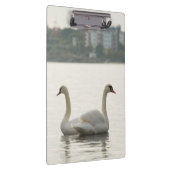 二羽の白鳥 クリップボード (右)