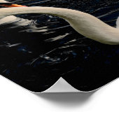 二羽の白鳥 ポスター (角)