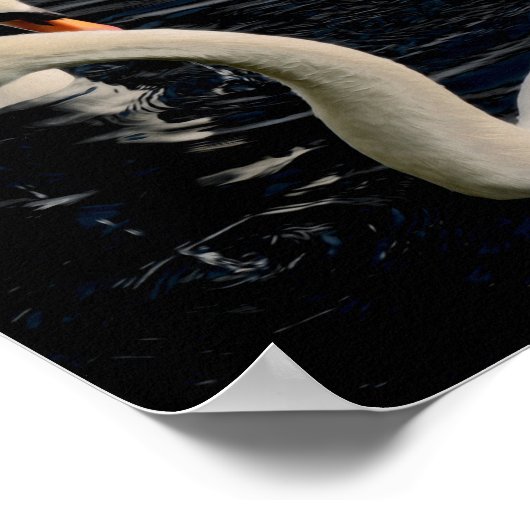 二羽の白鳥 ポスター (角)