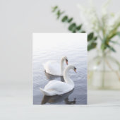 二羽の白鳥 ポストカード (スタンド正面)