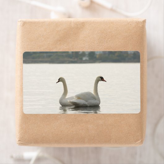 二羽の白鳥 ラベル (インサイチュ)