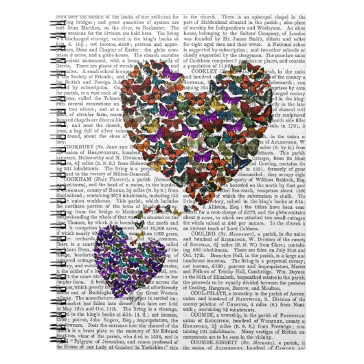 二羽の蝶ハート ノートブック (正面)