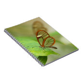 二羽の蝶 ノートブック (右側)