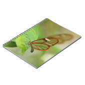 二羽の蝶 ノートブック (左側)