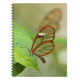 二羽の蝶 ノートブック