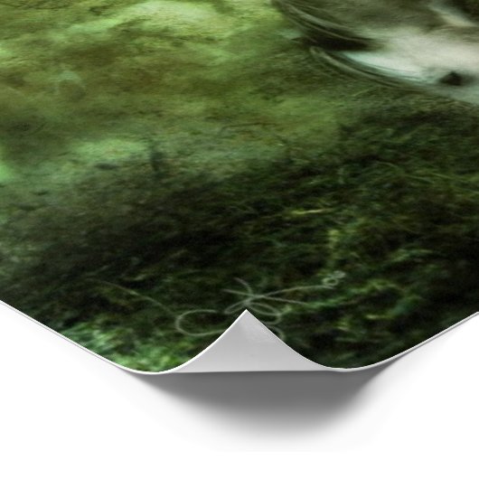 二羽の馬 ポスター (角)