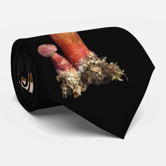 二色のイグチダケが付いているまれなきのこのタイ ネクタイ (ロール)