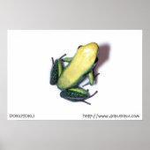 二色ポスター ポスター (正面)