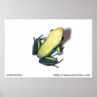 二色ポスター ポスター