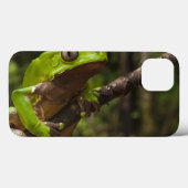 二色巨大な葉のカエルPhyllomedusa) Case-Mate iPhoneケース (裏面 (横))