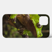 二色巨大な葉のカエルPhyllomedusa) Case-Mate iPhoneケース (裏面 (横))