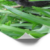 二草の中のフランス人 ポスター (角)