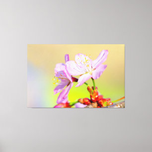 二輪の勇敢な桜の花とカラフルな背景 キャンバスプリント