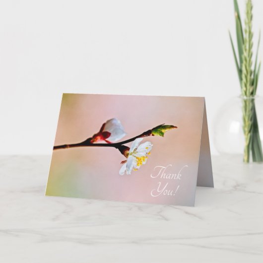 二輪の美しい日本梅の花 サンキューカード (正面)