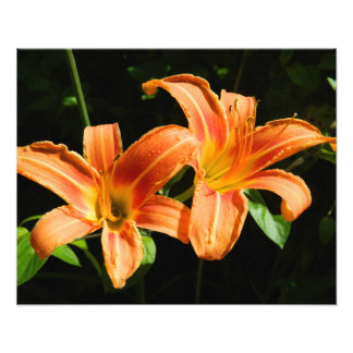 二輪の花 フォトプリント