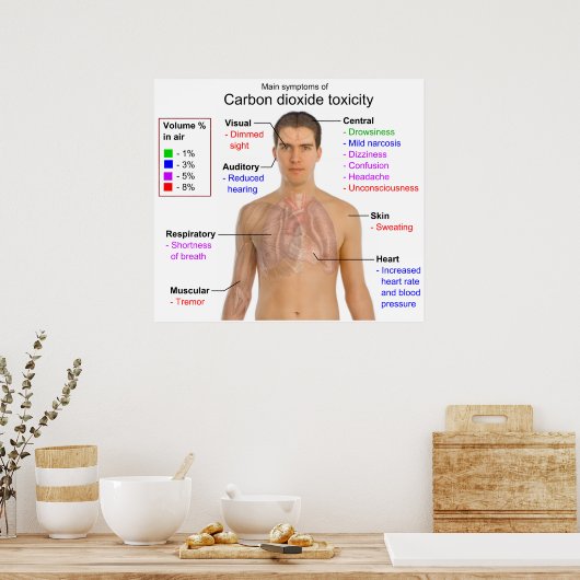二酸化炭素毒性表の主な症状 ポスター (キッチン)