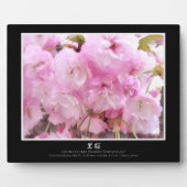 二重の桜:里桜 フォトプラーク (正面)