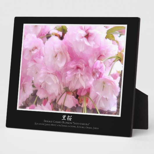 二重の桜:里桜 フォトプラーク (側面)