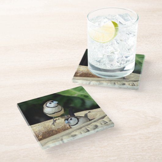 二重の筋を持つフィンチ ガラスコースター (アングル)