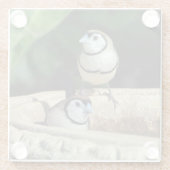 二重の筋を持つフィンチ ガラスコースター (裏面)