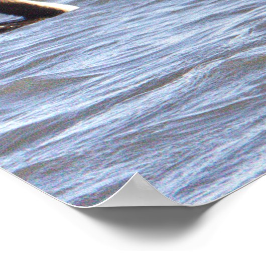 二重の紋付き鵜のポスター ポスター (角)