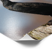 二重ひげ付き鵜のプロファイル フォトプリント (角)