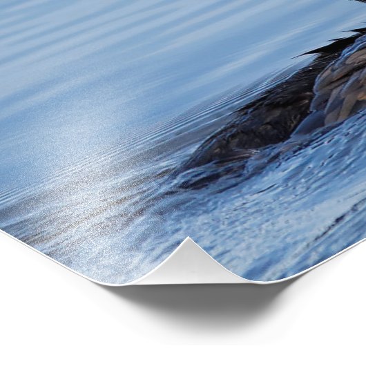 二重ひげ付き鵜のプロファイル フォトプリント            (角)