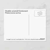 二重ひげ鵜 ポストカード (裏面)