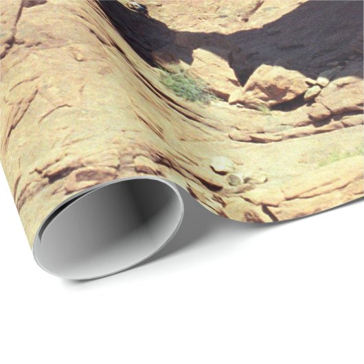 二重アーチのユタの砂漠の景色の写真 ラッピングペーパー (ロールコーナー)