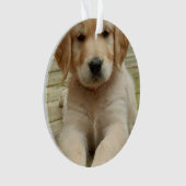 二重カスタム写真画像写真 オーナメント (正面)