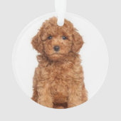 二重カスタム写真画像写真 オーナメント (裏面)