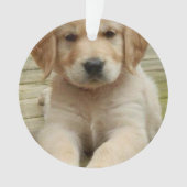 二重カスタム写真画像写真 オーナメント (正面)