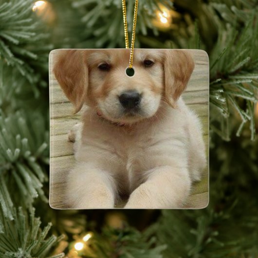 二重カスタム写真画像写真 セラミックオーナメント (ツリー)