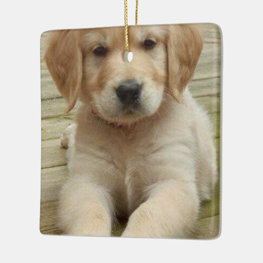 二重カスタム写真画像写真 セラミックオーナメント (左)