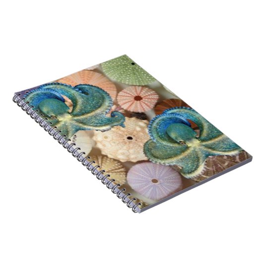 二重タコの螺線形の写真アルバム ノートブック (右側)