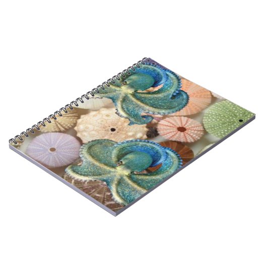 二重タコの螺線形の写真アルバム ノートブック (左側)