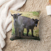 二重トラブル！ クッション (ブランケット)