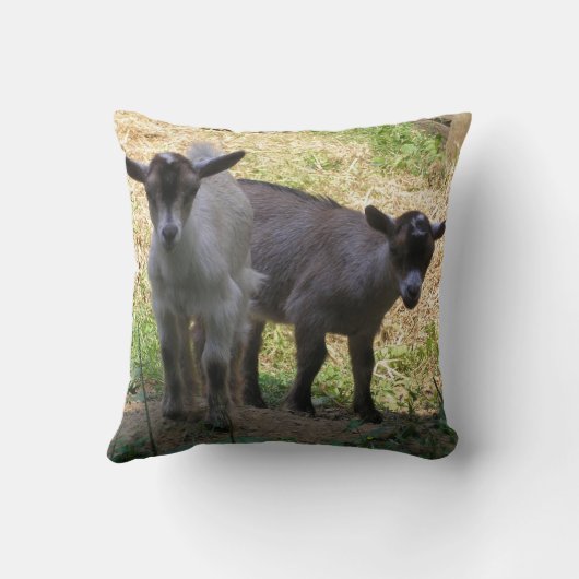 二重トラブル！ クッション (裏面)