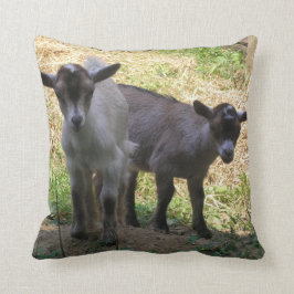 二重トラブル！ クッション