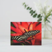 二重トラブル ポストカード (スタンド正面)