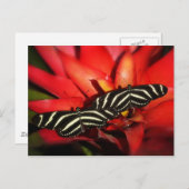 二重トラブル ポストカード (正面/裏面)