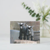 二重トラブル ポストカード (スタンド正面)