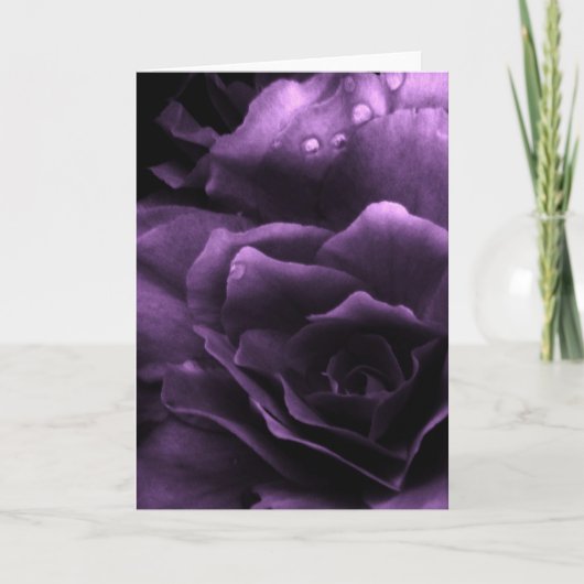 二重ベゴニアの近い紫色 カード (正面)