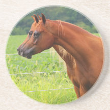 二重像BOGOの子馬のコースター