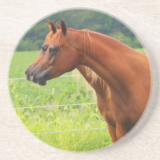 二重像BOGOの子馬のコースター コースター